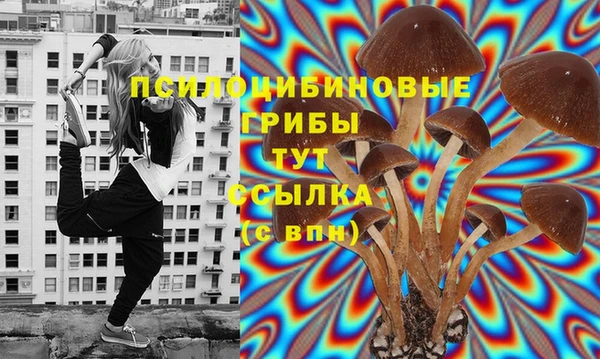 jwh Арсеньев