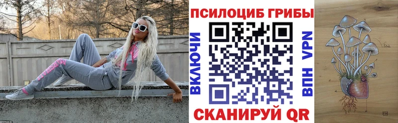 Купить  Бутурлиновка  Галлюциногенные грибы Psilocybe 